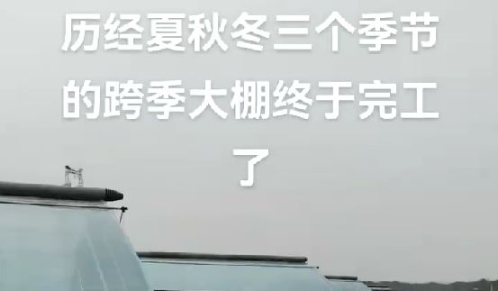 歷經(jīng)夏秋冬三個季節(jié)的跨季大棚終于完工了